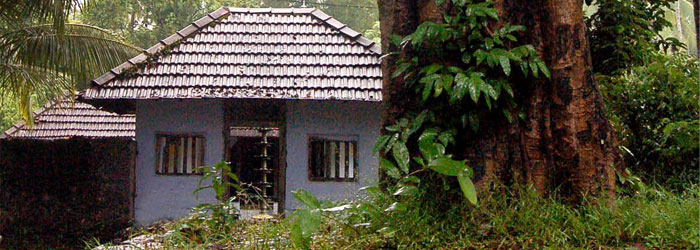 Garudan Kavu Photo