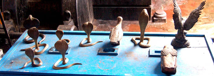Garudan Kavu Photos