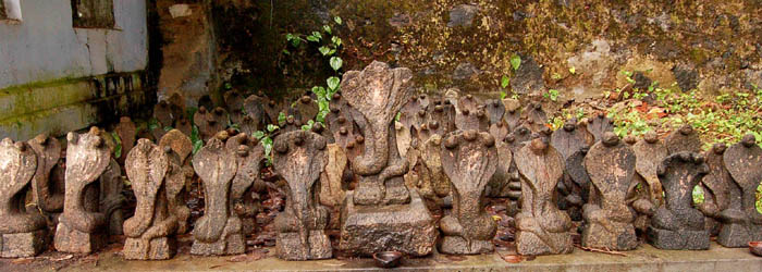 Garudan Kavu Photos